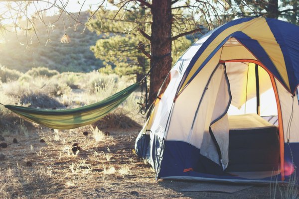 Quelles sont les meilleures pratiques pour camper en forêt boréale sans perturber la faune locale?