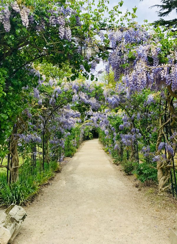 Comment planifier une visite des jardins botaniques royaux à Kew, Angleterre?
